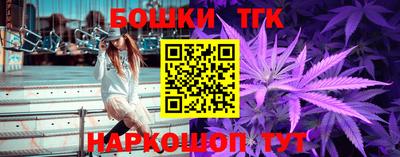 МДПВ Бийск