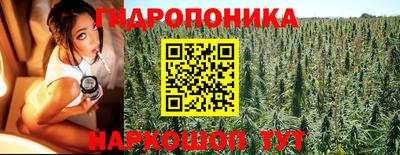 прущие грибы Балахна