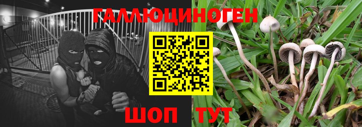 Балашиха  Галлюциногенные грибы Magic Shrooms  Вход с VPN 