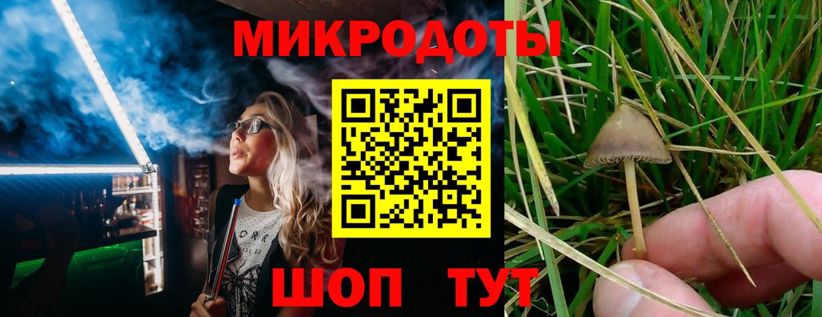 Галлюциногенные грибы мицелий Балашиха